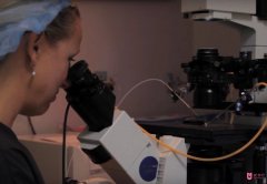 為什么美國試管嬰兒醫(yī)生會建議減胎